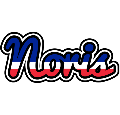 Noris france logo