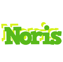 Noris picnic logo