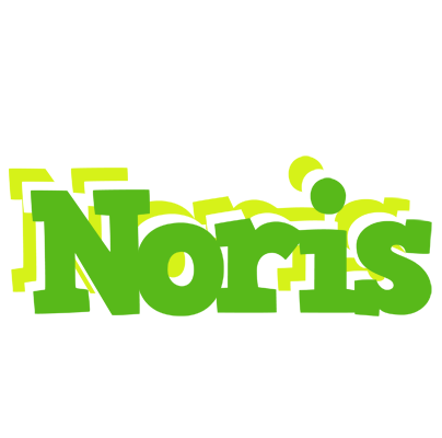 Noris picnic logo