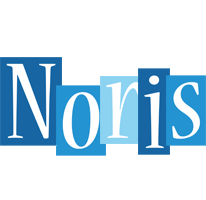 Noris winter logo