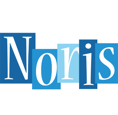 Noris winter logo