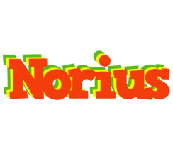 Norius bbq logo