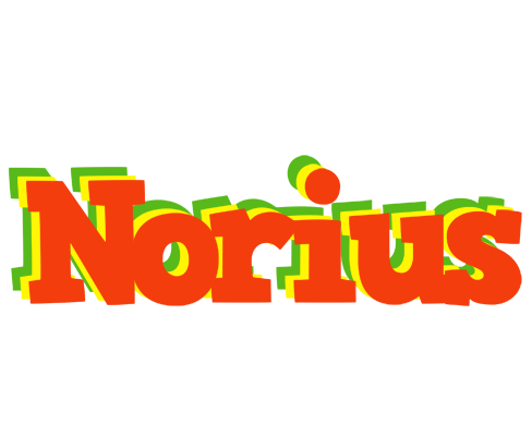 Norius bbq logo