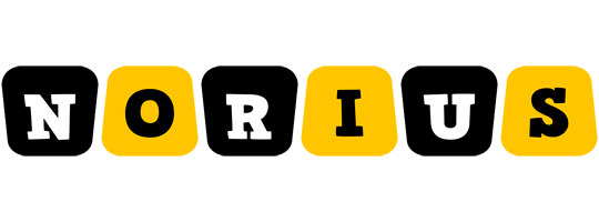 Norius boots logo