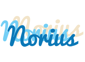 Norius breeze logo