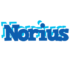 Norius business logo