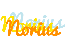 Norius energy logo
