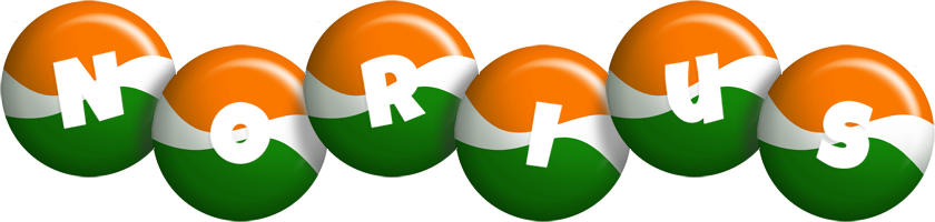 Norius india logo