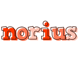 Norius paint logo