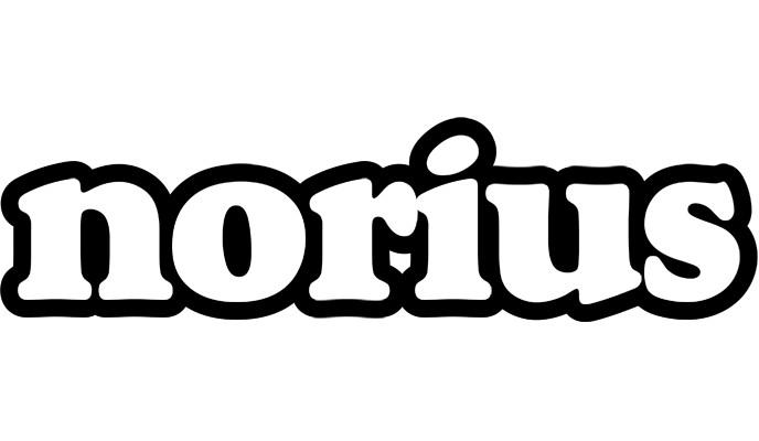 Norius panda logo
