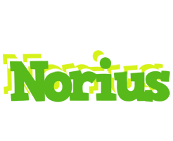 Norius picnic logo