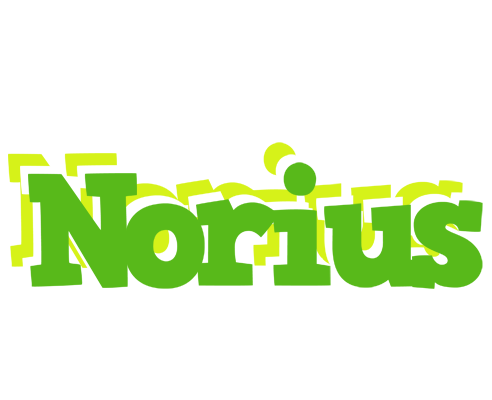 Norius picnic logo
