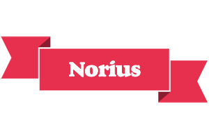 Norius sale logo