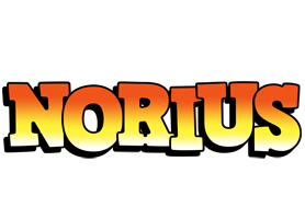 Norius sunset logo