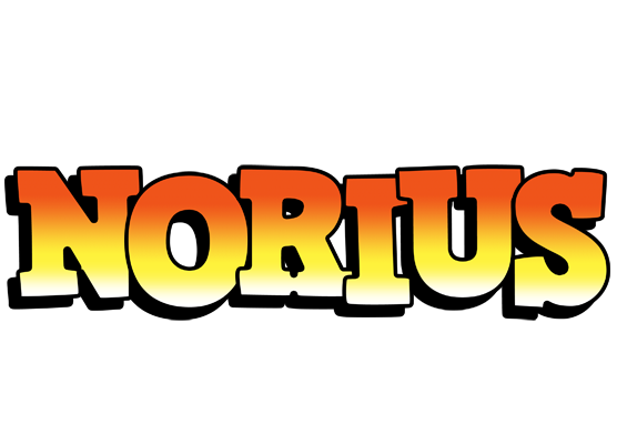 Norius sunset logo
