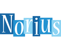 Norius winter logo