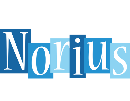 Norius winter logo