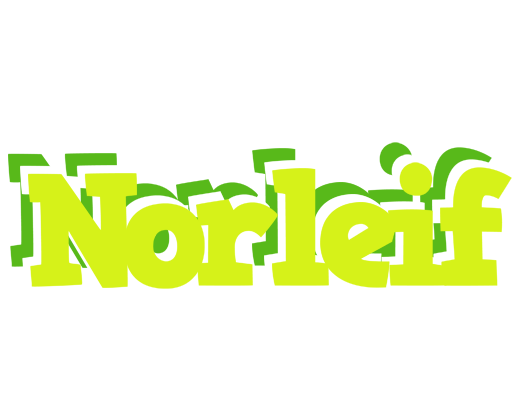 Norleif citrus logo