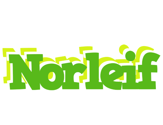 Norleif picnic logo