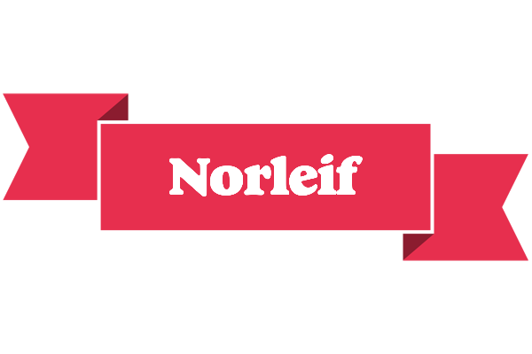 Norleif sale logo