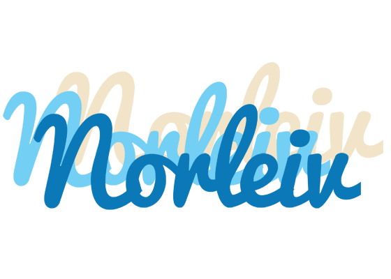 Norleiv breeze logo