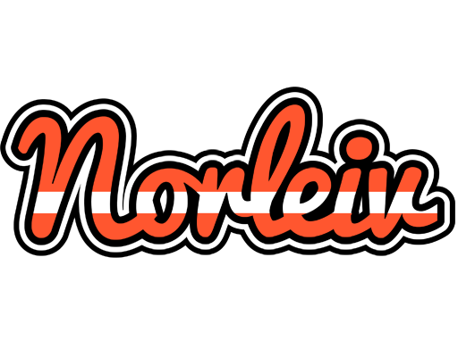 Norleiv denmark logo