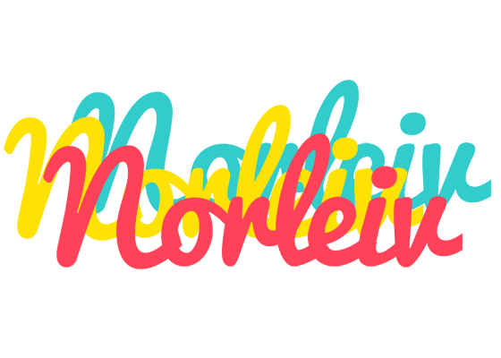 Norleiv disco logo