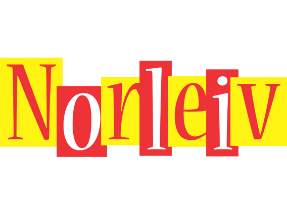 Norleiv errors logo