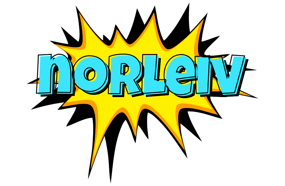 Norleiv indycar logo