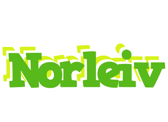Norleiv picnic logo