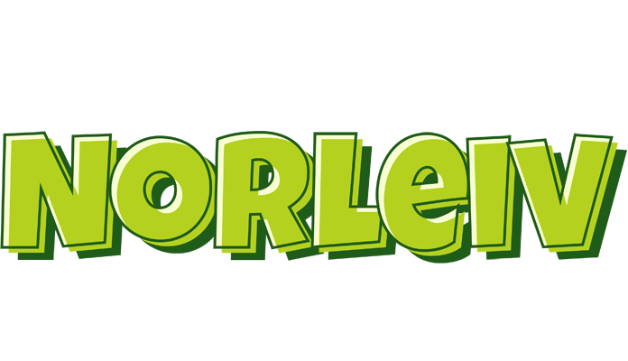 Norleiv summer logo