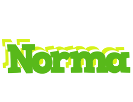 Norma picnic logo