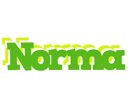 Norma picnic logo