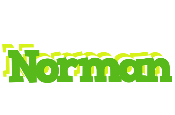 Norman picnic logo