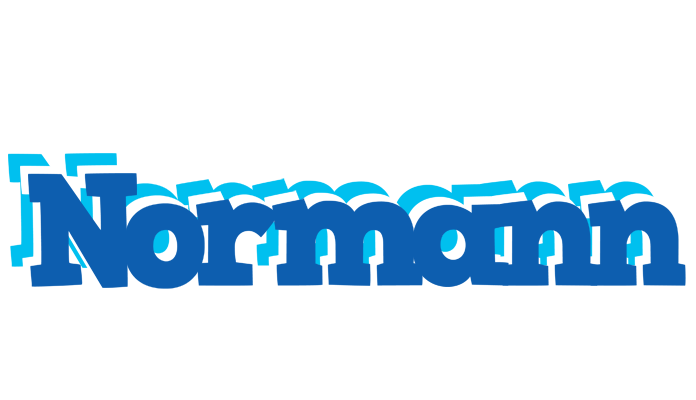 Normann business logo