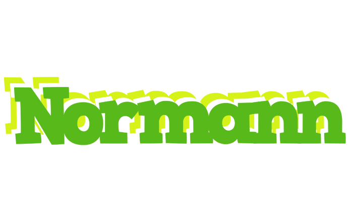 Normann picnic logo