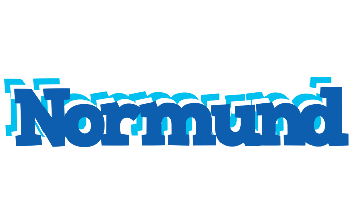Normund business logo