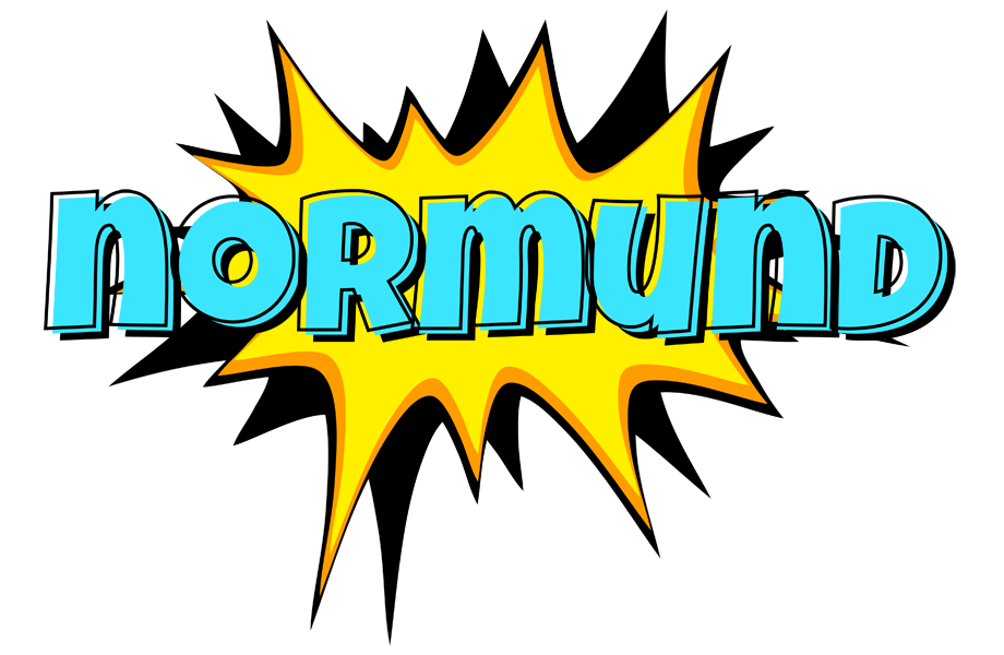 Normund indycar logo