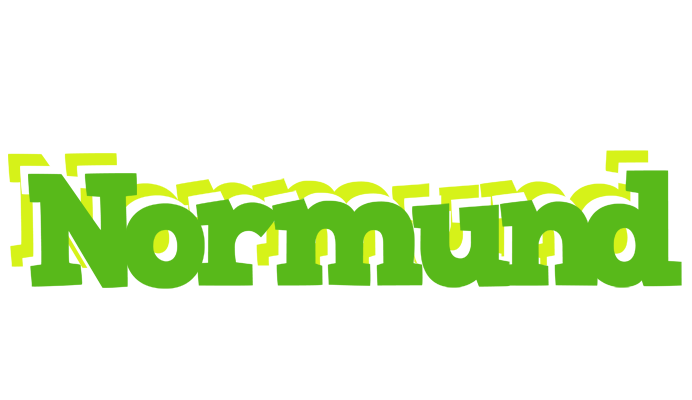 Normund picnic logo