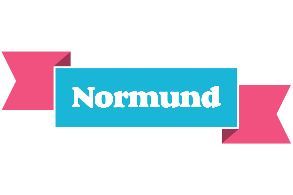 Normund today logo