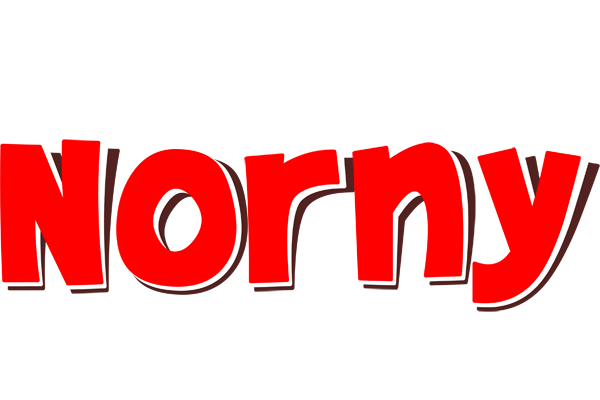 Norny basket logo