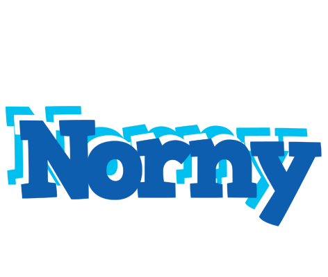 Norny business logo