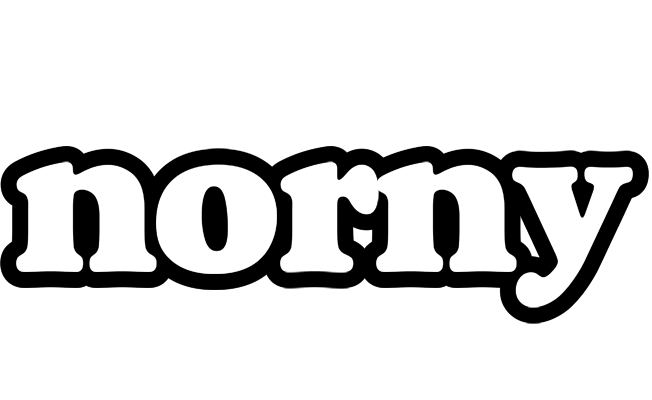 Norny panda logo