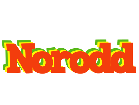 Norodd bbq logo