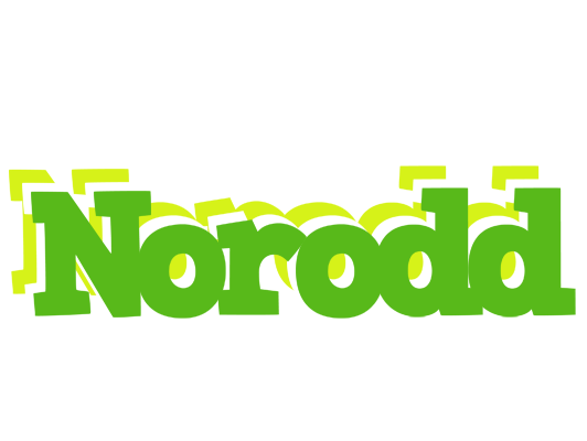 Norodd picnic logo