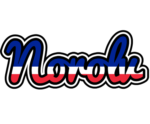 Norolv france logo