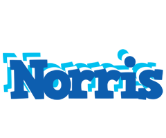 Norris business logo