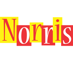 Norris errors logo