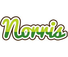 Norris golfing logo