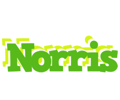 Norris picnic logo